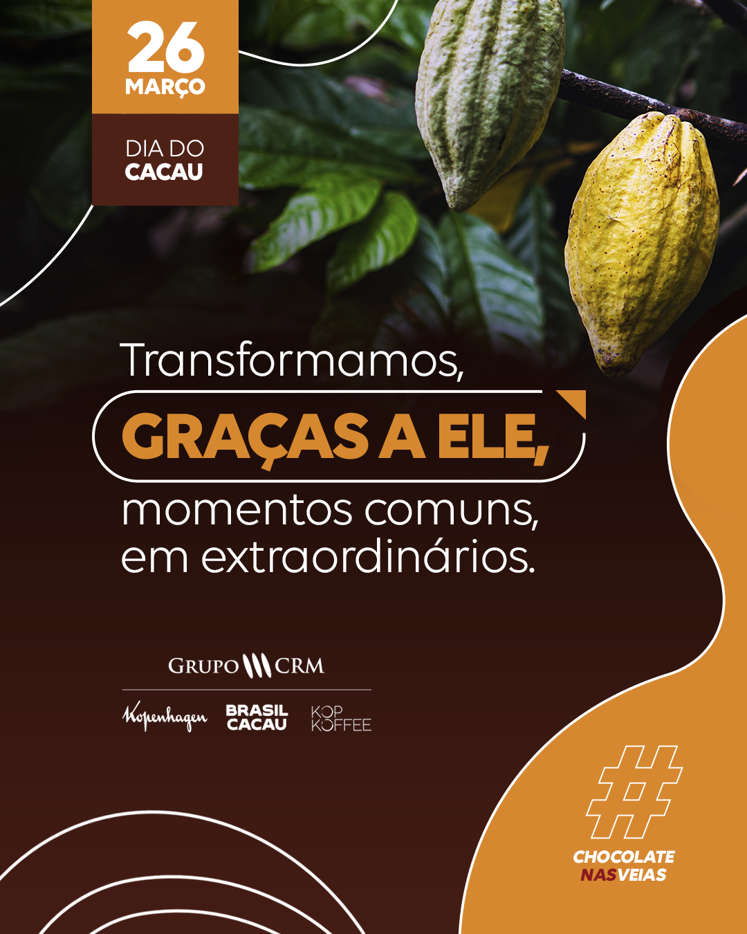 Publicação Para Redes Sociais